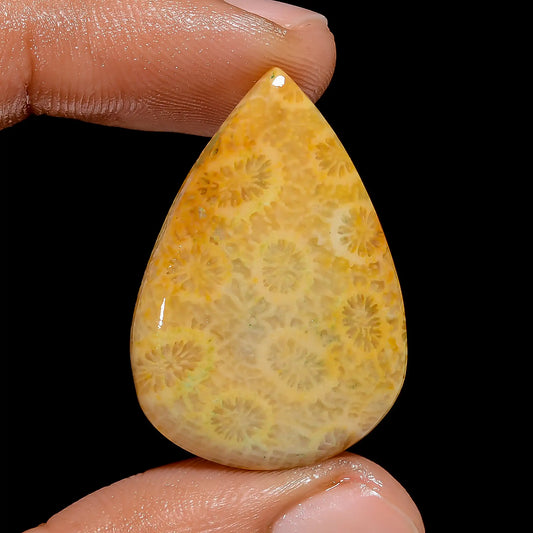 Exclusive Top Grade Quality 100% Natural Fossil Coral Pear Shape Cabochon Loose Gemstone For Making Jewelry 23 Ct. 32X22X5 mm V-6778