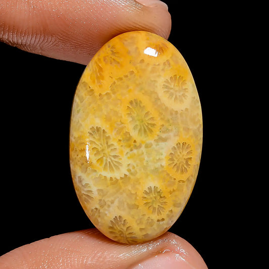 Elegant Top Grade Quality 100% Natural Fossil Coral Oval Shape Cabochon Loose Gemstone For Making Jewelry 24 Ct. 28X18X5 mm V-6779