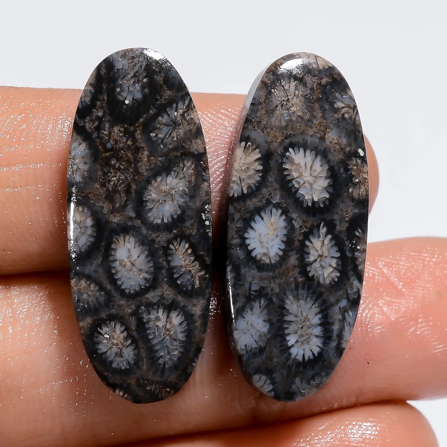 Gorgeous Top Grade Quality 100% Natural Black Fossil Coral Oval Shape Cabochon Loose Gemstone Pair For Making Earrings 28 Ct 27X10X3 mm V7222