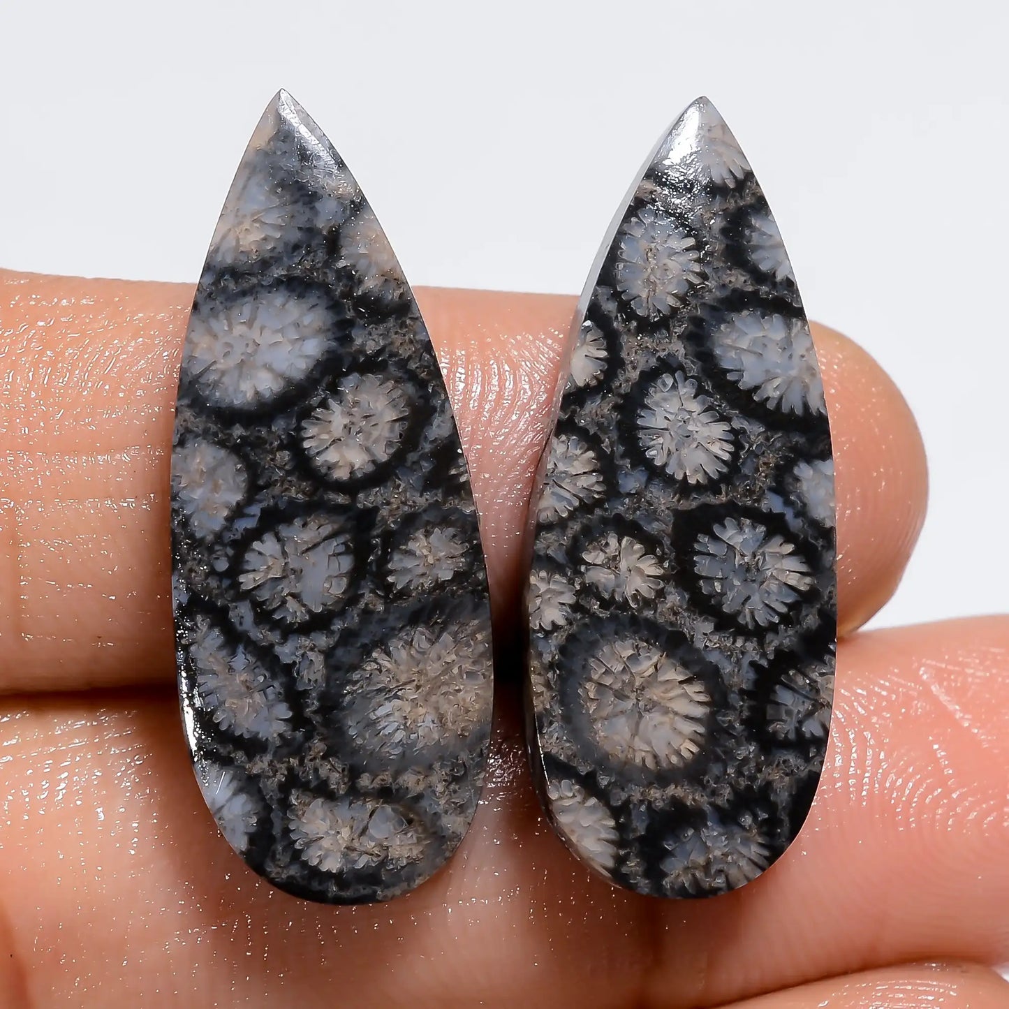 Black Fossil Coral Pear Shape Cabochon Loose Gemstone Pair Natural 25 Ct. 28X10X3 mm V-7223