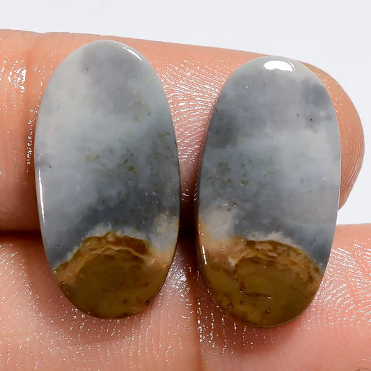 Elegant Top Grade Quality 100% Natural Polychrome Jasper Oval Shape Cabochon Loose Gemstone Pair For Making Earrings 12.5 Ct 19X10X2 mm V7245