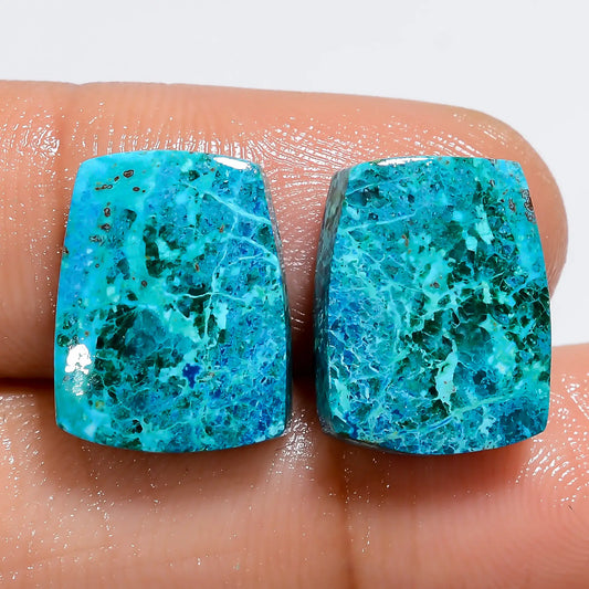 Wonderful Top Grade Quality 100% Natural Shattuckite Fancy Shape Cabochon Loose Gemstone Pair For Making Earrings 16 Ct. 14X10X3 mm V-7261