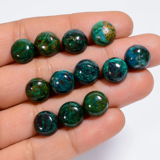 Attractive Top Grade Quality 100% Natural Australian Chrysocolla Round Cabochon Gemstone 12 Pcs Lot For Making Jewelry 57.5 Ct 9X9X4 mm V-7627