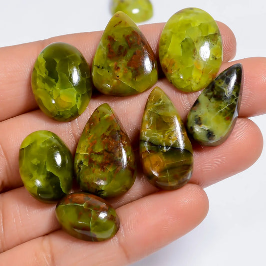 Green Opal Mix Shape Shape Cabochon Loose Gemstone 10 Pcs Lot Natural 100 Ct. 14X14 24X11 mm V-7658