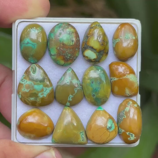 Tibetan Turquoise Mix Shape Cabcohons Flat Back Gemstones Lot, 14-18 mm T-10