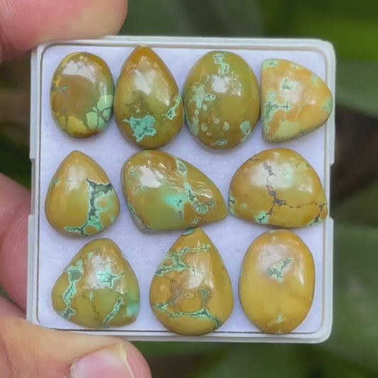 Tibetan Turquoise Mix Shape Cabcohons Flat Back Gemstones Lot, 14-18 mm T-06