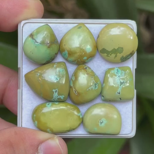Tibetan Turquoise Mix Shape Cabcohons Flat Back Gemstones Lot, 15-21 mm T-02