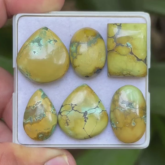 Tibetan Turquoise Mix Shape Cabcohons Flat Back Gemstones Lot, 18-21 mm T-08