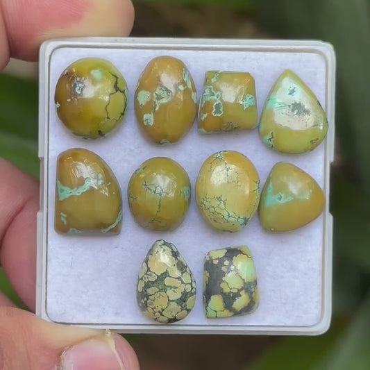 Tibetan Turquoise Mix Shape Cabcohons Flat Back Gemstones Lot, 12-15 mm T-05