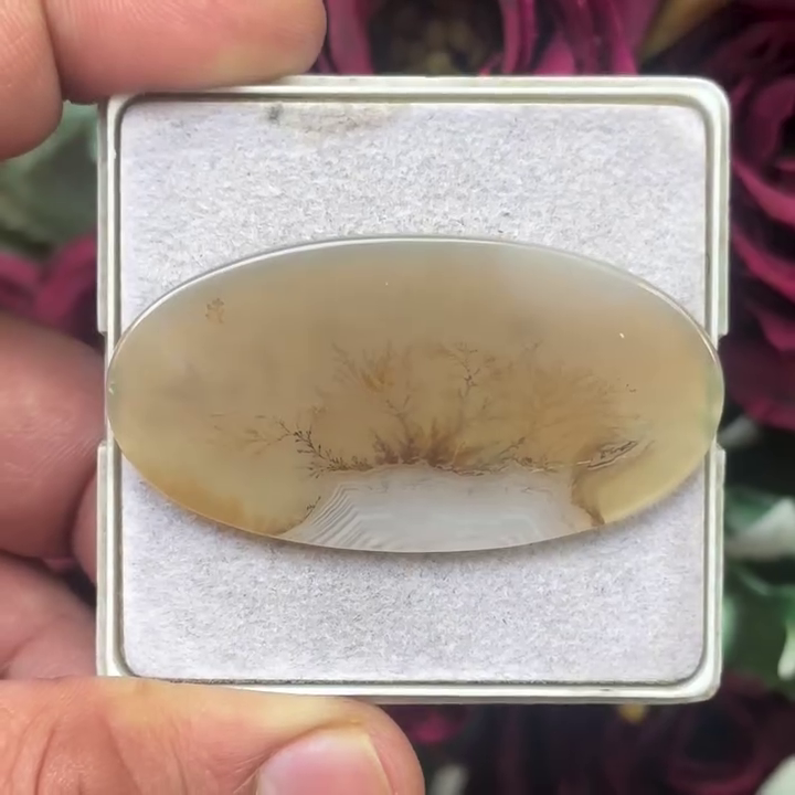 Scenic Agate Oval shape Cabochon Flat Back Gemstone 25X49 mm