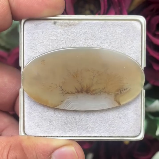 Scenic Agate Oval shape Cabochon Flat Back Gemstone 25X49 mm