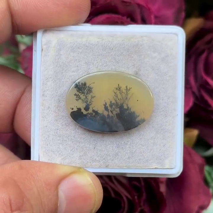 Scenic Agate Oval shape Cabochon Flat Back Gemstone 17X24 mm