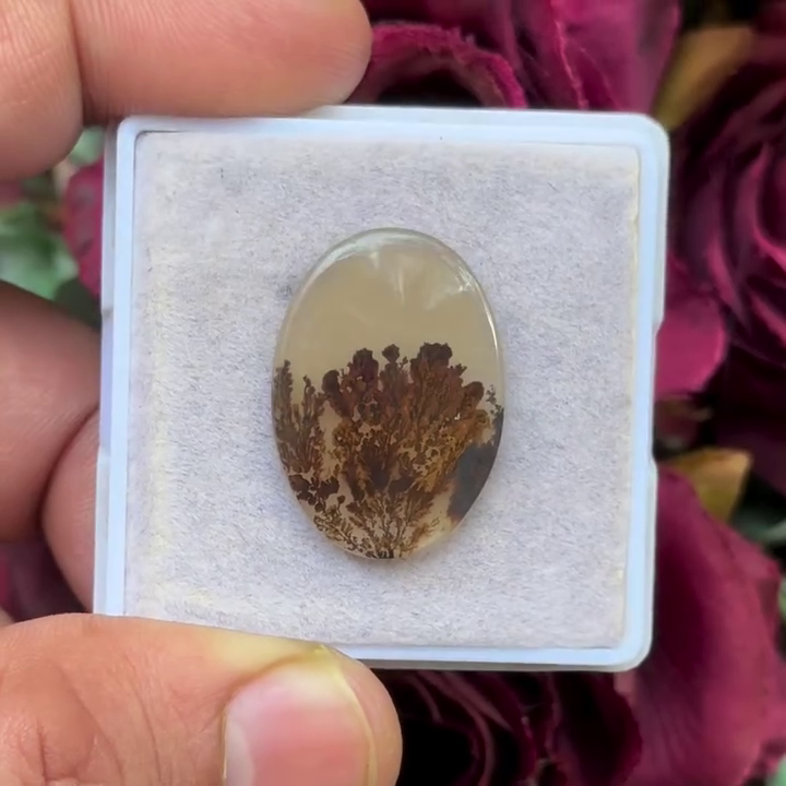 Scenic Agate Oval shape Cabochon Flat Back Gemstone 17X24 mm
