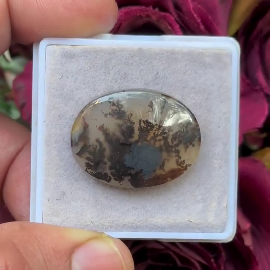 Scenic Agate Oval shape Cabochon Flat Back Gemstone 20X26 mm