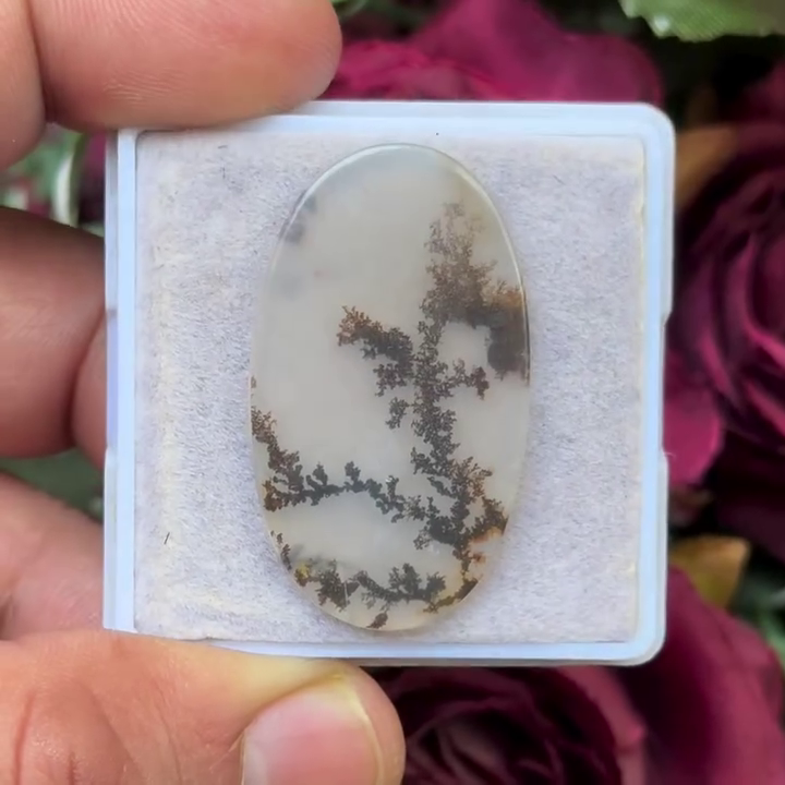 Scenic Agate Oval shape Cabochon Flat Back Gemstone 20X35 mm