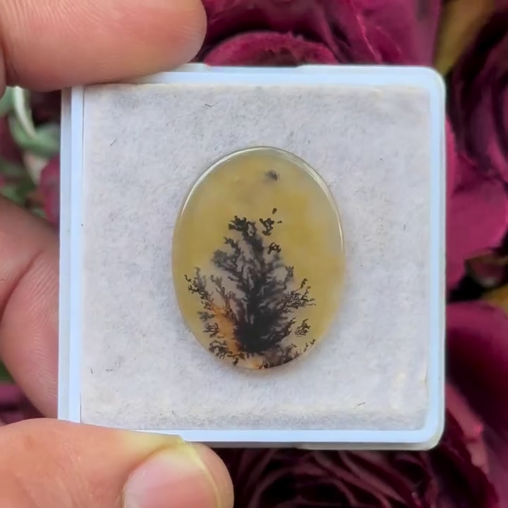 Scenic Agate Oval shape Cabochon Flat Back Gemstone 19X24 mm