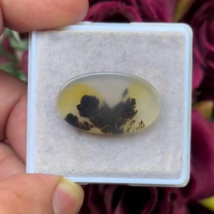 Scenic Agate Oval shape Cabochon Flat Back Gemstone 17X26 mm