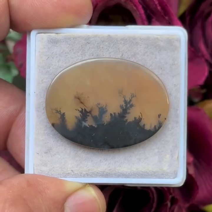 Scenic Agate Oval shape Cabochon Flat Back Gemstone 23X32 mm