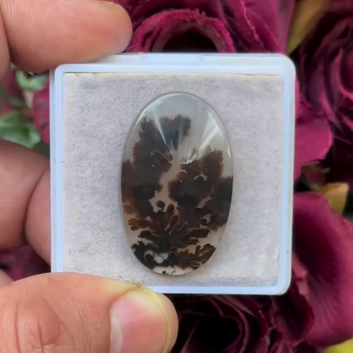 Scenic Agate Oval shape Cabochon Flat Back Gemstone 19x32 mm