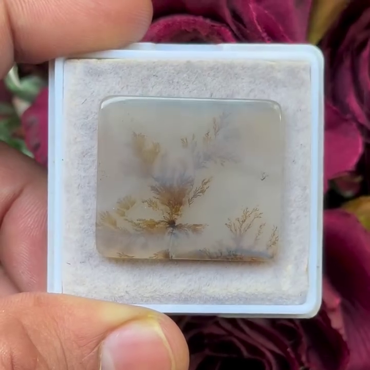 Scenic Agate Cushion shape Cabochon Flat Back Gemstone 24X28 mm
