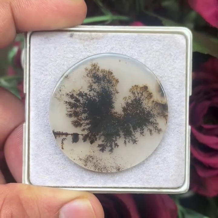 Scenic Agate Round shape Cabochon Flat Back Gemstone 35X35 mm