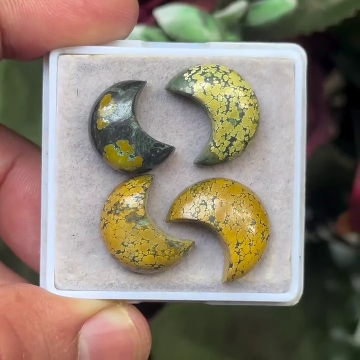 Turquoise Moon-shape Cabochons Flat Back Gemstones Lot 14-16 mm