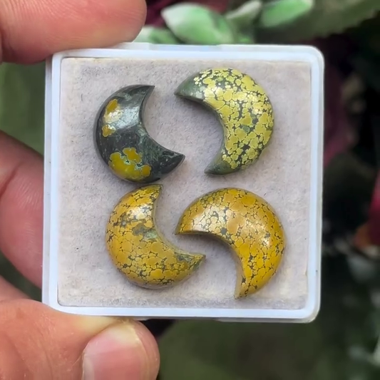 Turquoise Moon-shape Cabochons Flat Back Gemstones Lot 14-16 mm