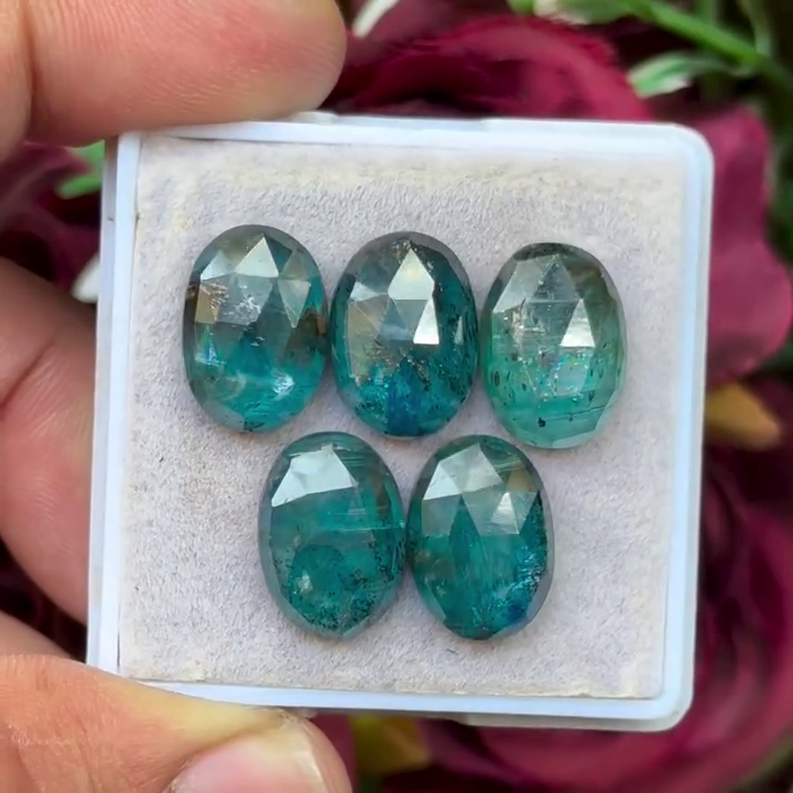 Moss Teal Kyanite Oval shape Rosecut Flat Back Gemstones Lot 10X14 mm