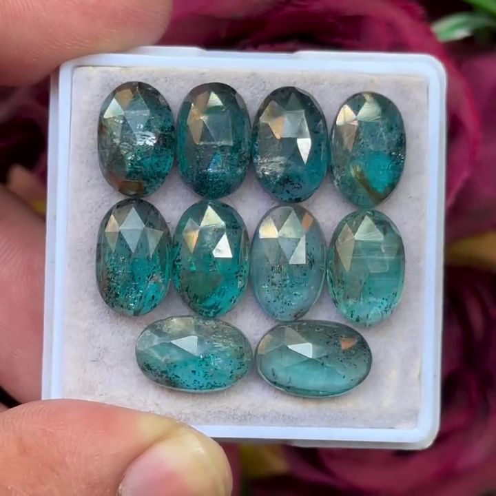 Moss Teal Kyanite Oval shape Rosecut Flat Back Gemstones Lot 8X12 mm