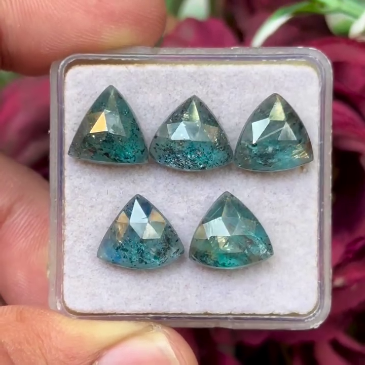 Moss Teal Kyanite Trillion shape Rosecut Flat Back Gemstones Lot 10 mm