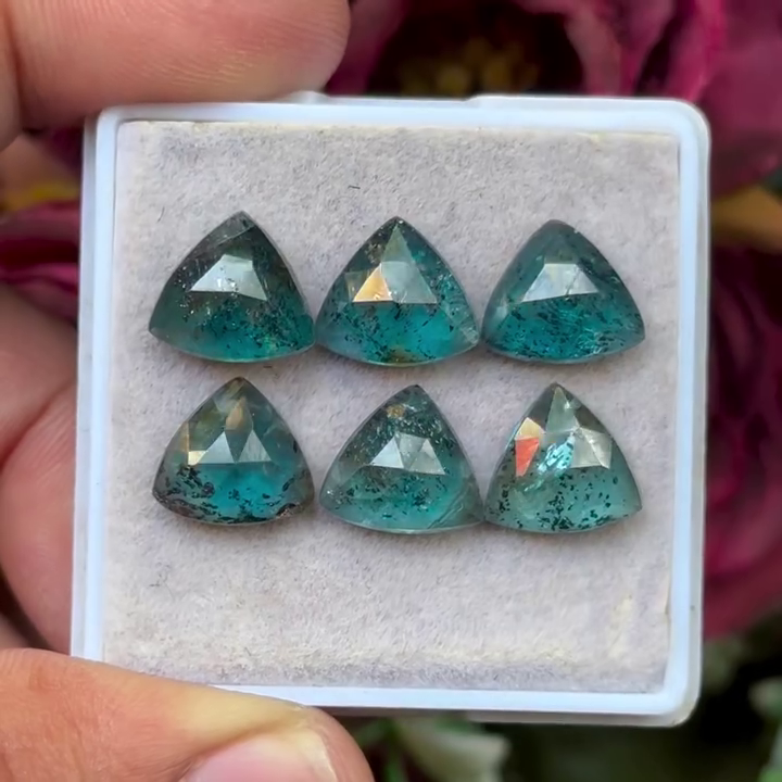 Moss Teal Kyanite Trillion shape Rosecut Flat Back Gemstones Lot 10 mm