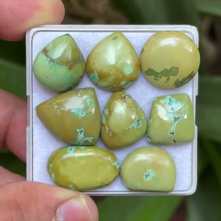 Tibetan Turquoise Mix Shape Cabcohons Flat Back Gemstones Lot, 15-21 mm T-02