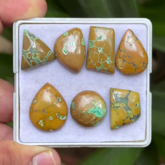 Tibetan Turquoise Mix Shape Cabcohons Flat Back Gemstones Lot, 16-23 mm T-12