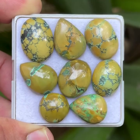 Tibetan Turquoise Mix Shape Cabcohons Flat Back Gemstones Lot, 13-20 mm T-07