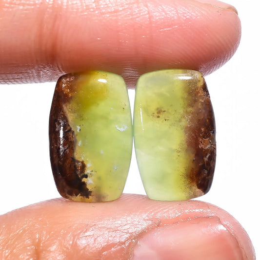 Exclusive Top Grade Quality 100% Natural Bio Chrysoprase Radiant Shape Cabochon Loose Gemstone Pair For Making Earrings 10 Ct 15X10X3mm V434