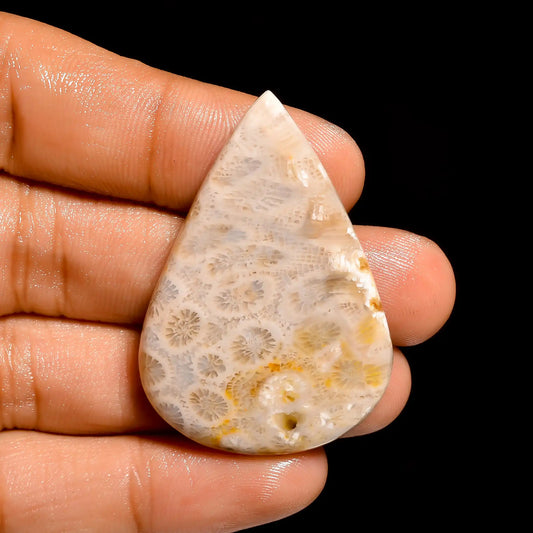 Marvellous Top Grade Quality 100% Natural Fossil Coral Pear Shape Cabochon Loose Gemstone For Making Jewelry 51.5 Ct. 42X28X6 mm V-863